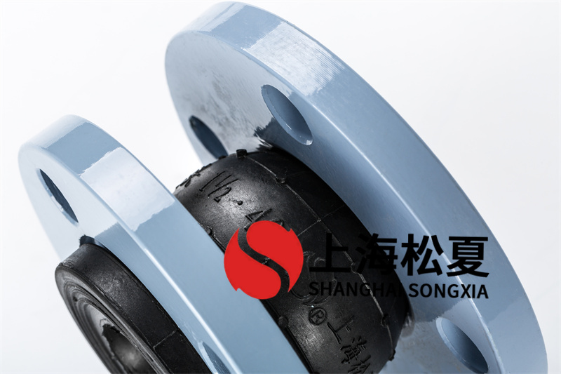 水处理工程项目用钢丝软接头